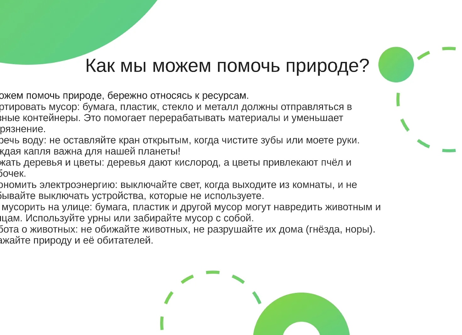 Рассада в 