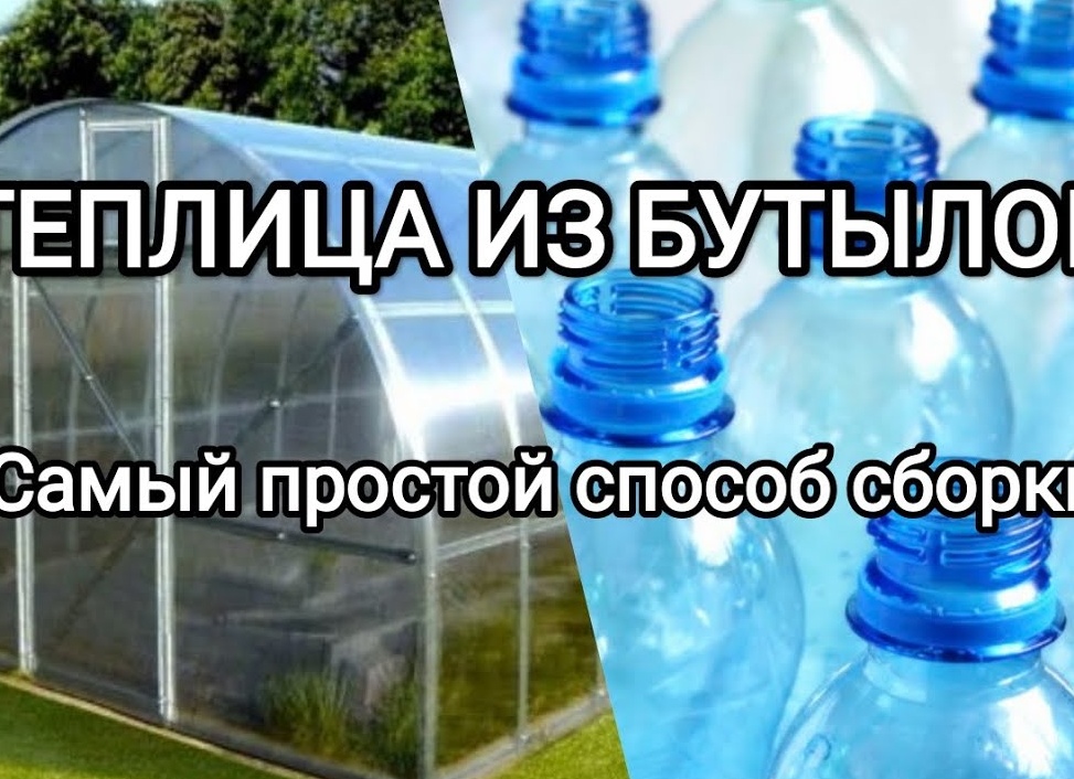 Парник из пластиковых бутылок и другие оригинальные способы применения ненужной тары на даче